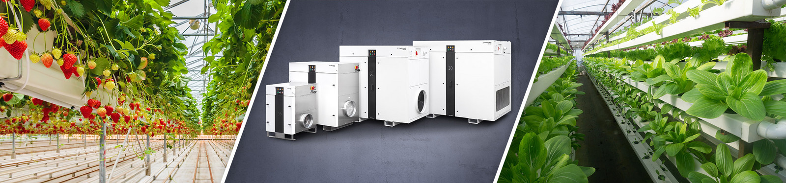 Dehumidification in the field of vertical farming