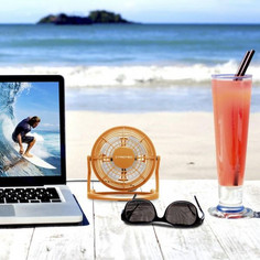 TVE 1 USB fan, vacation application